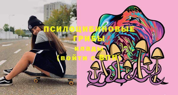 гидропоника Верея