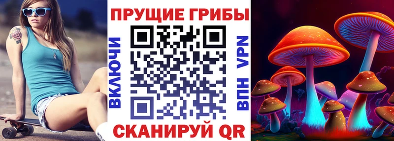 Псилоцибиновые грибы Psilocybe Пенза