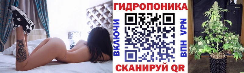 Бошки Шишки ГИДРОПОН  хочу   Пенза 